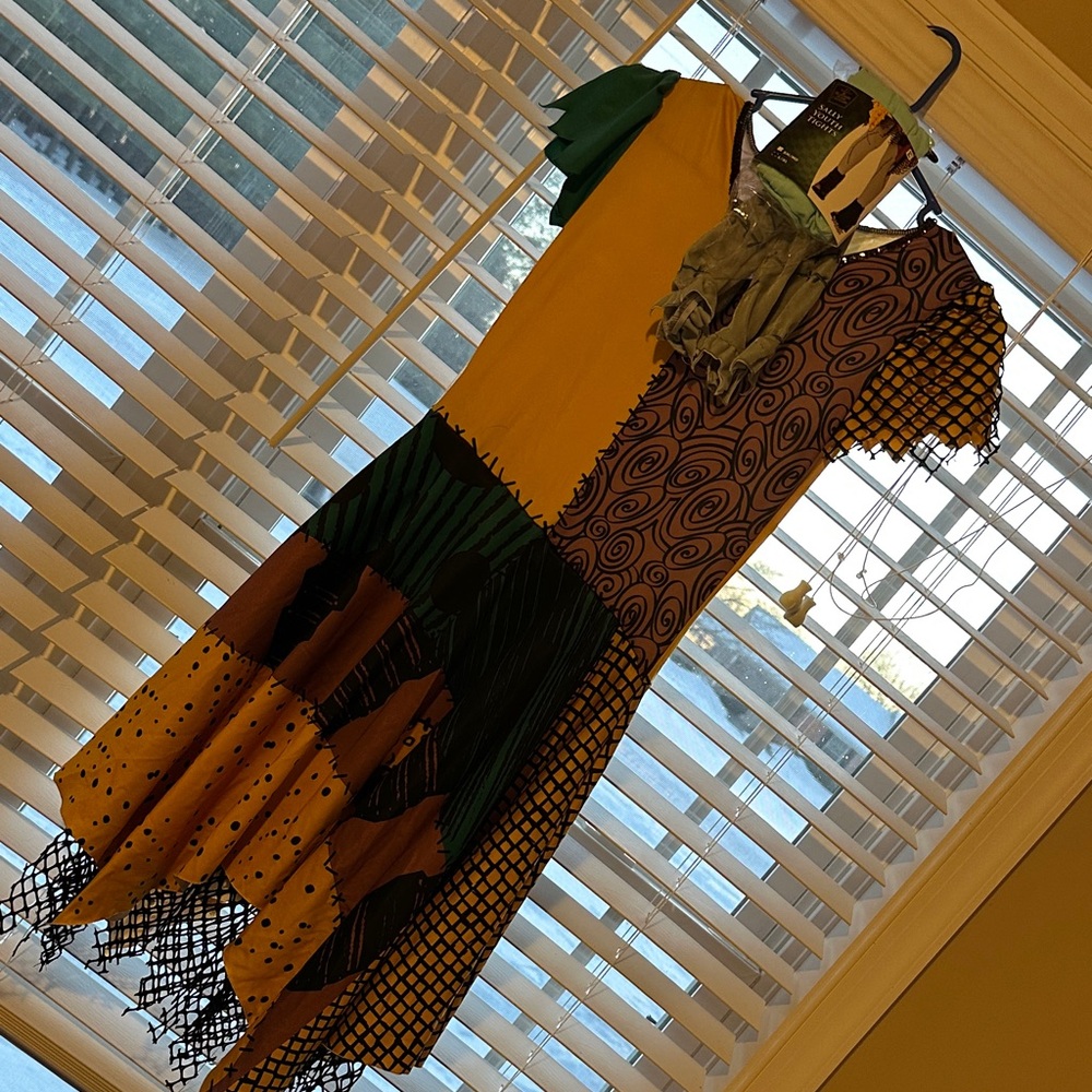 Sally costume